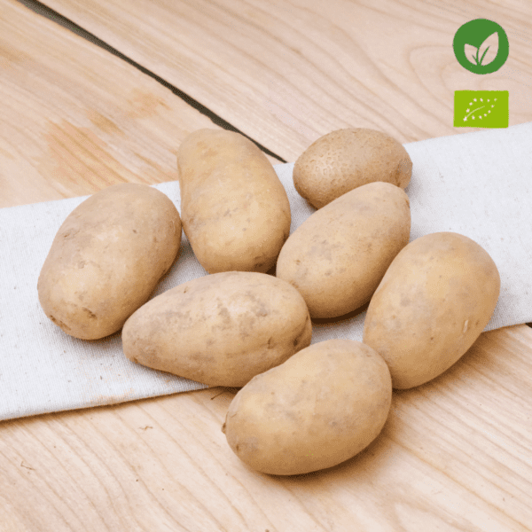 Regionale Bio Brätlinge Kartoffeln