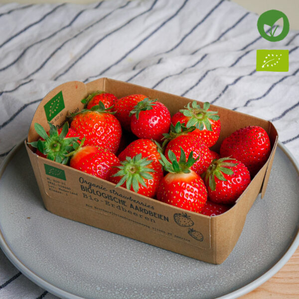 Erdbeer-Saison! Jetzt regionale Bio-Erdbeeren bei hofdealer bestellen